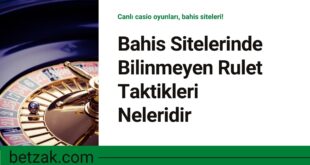 Bahis Sitelerinde Bilinmeyen Rulet Taktikleri Nelerdir